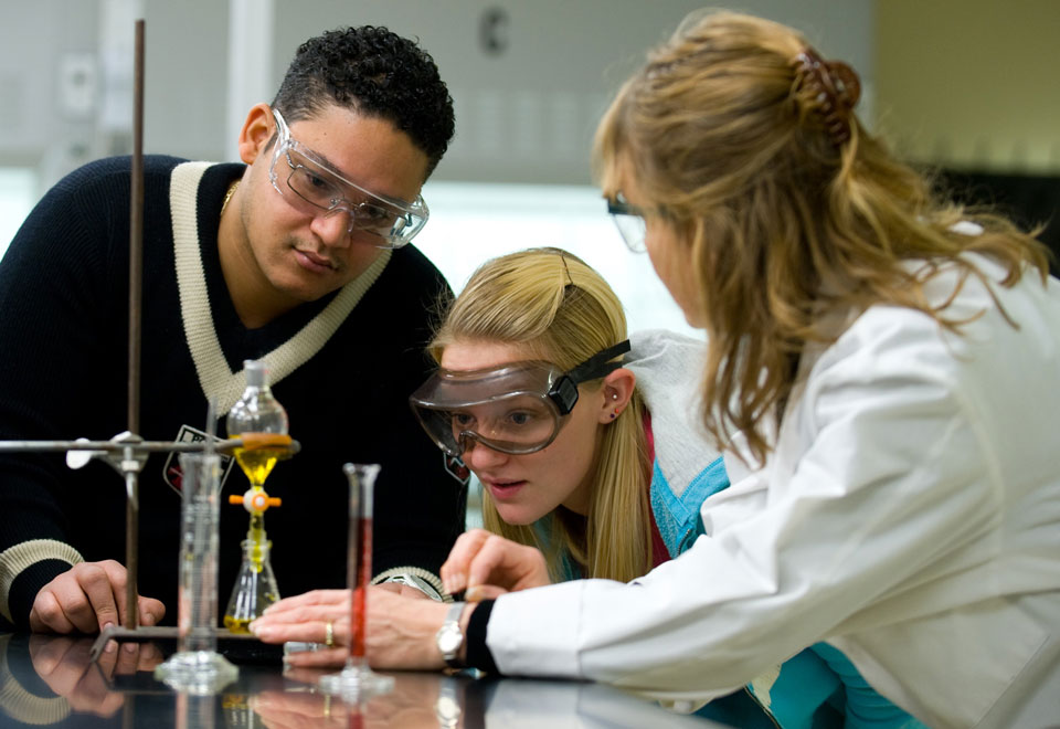 Chemical and Biological Sciences