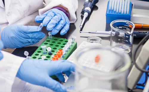 Students working in biotechnology lab