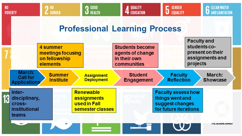 Fellowship Professional Learning Process