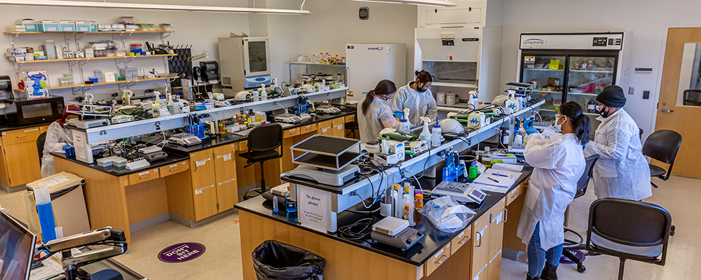 Biotechnology Boot Camp at the Germantown Campus, Montgomery College, Maryland